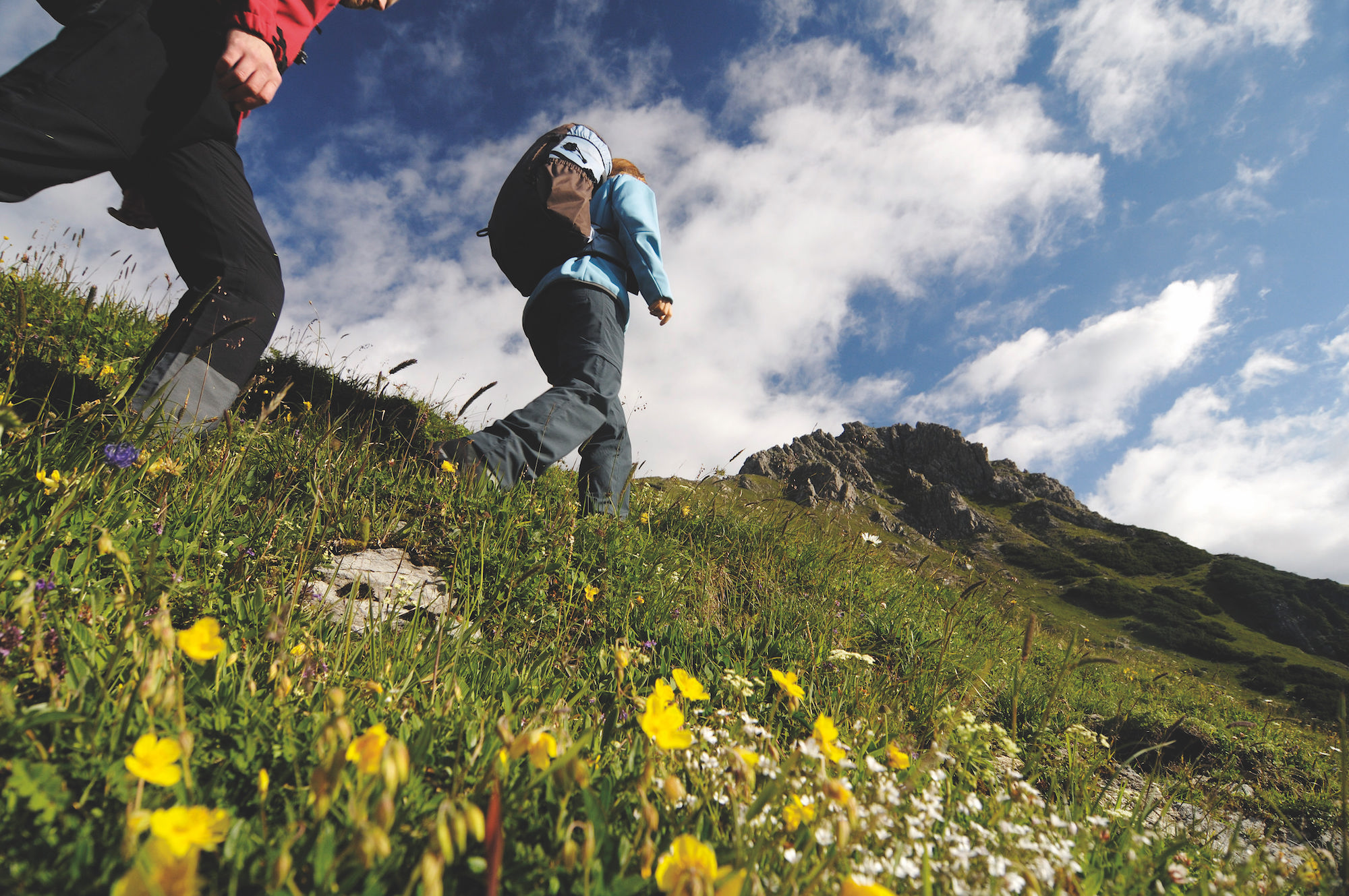 Foto Jungholz im Sommer