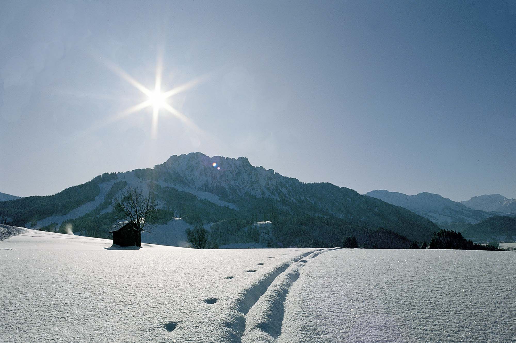 Foto Jungholz im Winter